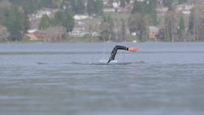 A man is swimming in a lake whose shoreline is dotted with trees