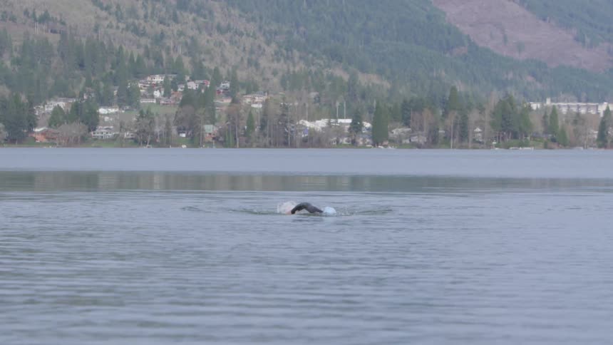 A man wearing a wet suit and swim cap swims in a large lake near a forested area