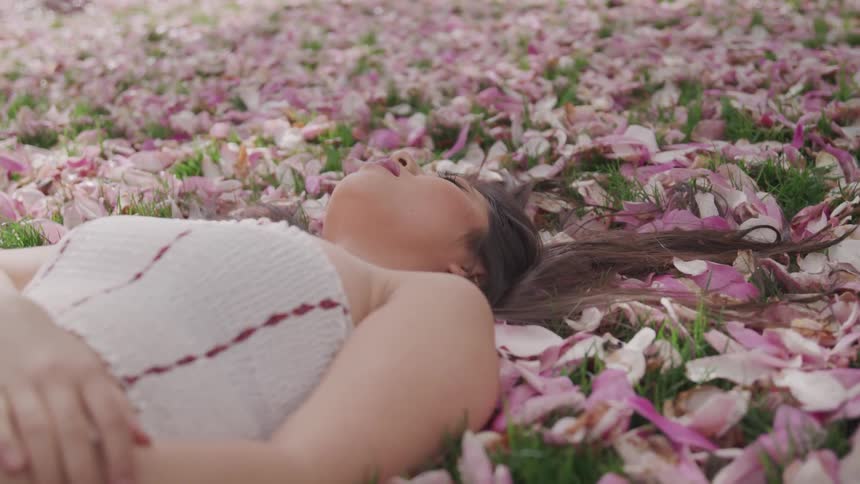 A woman is laying in flowers on a field