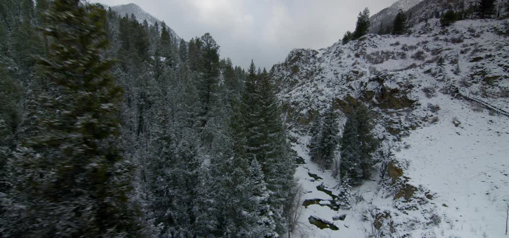 Snow covers forest of conifers and mountains
