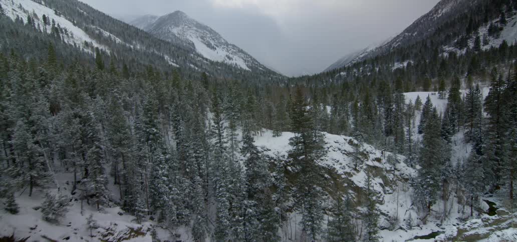 A view of a snowy mountain from up above covered in trees
