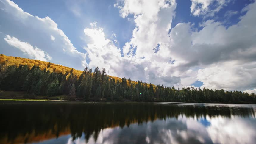 Time lapse of a lake surrounded by a forest