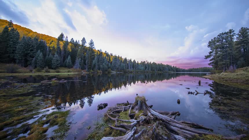 A time lapse of a beautiful lake surrounded by pine forest