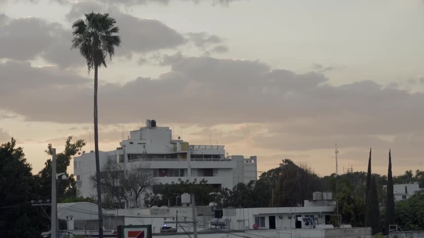 A tall palm tree is in front of the building ahead