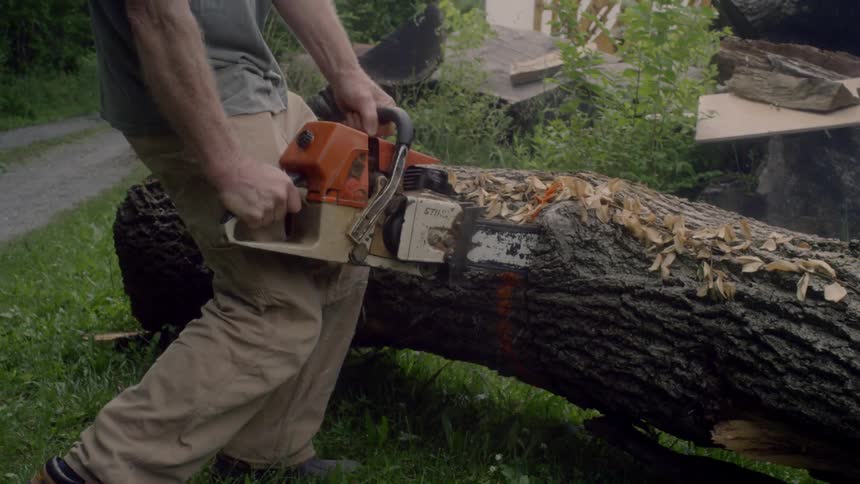 A man cuts a tree trunk with a saw
