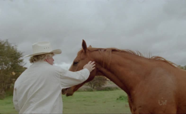 A white man in a cowboy hat is petting a brown horse with a large white marking on its face