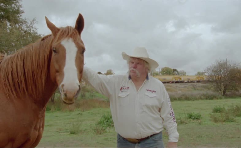 Man with cowboy hat taking care his beloved brown horse at the farm field