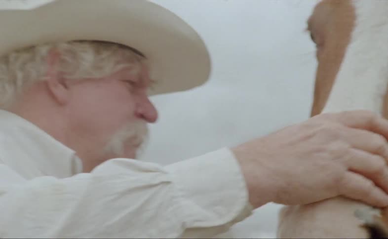 Man on cowboy hat calming a horse