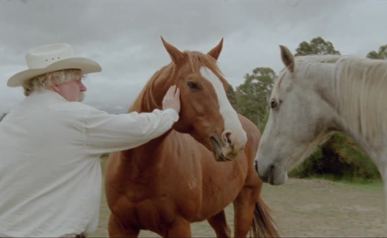 A white man in a cowboy hat is petting two horses in a pasture on a cloudy day