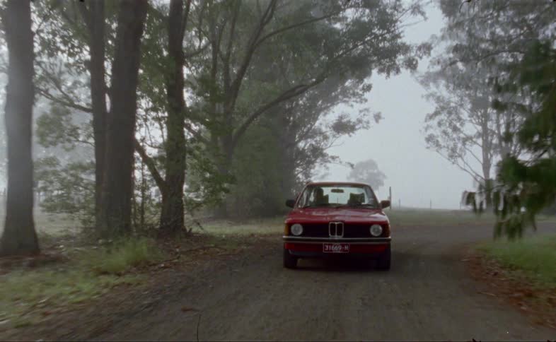 A car driving in a forest when theres a fog