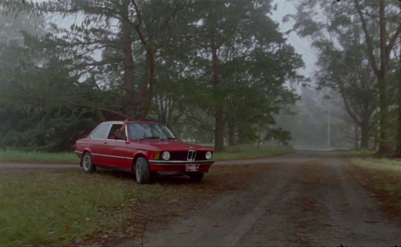 A red bmw car driving on the roads at the rural area