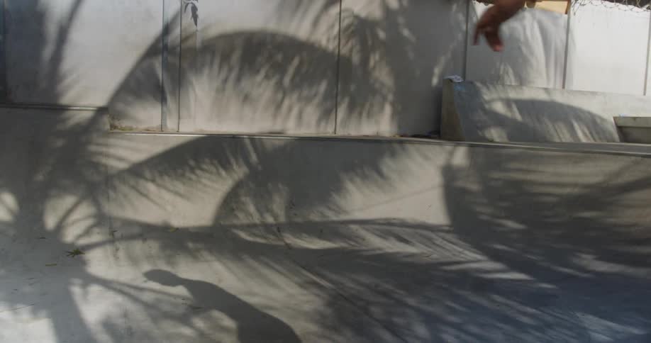 A teenager skateboarding