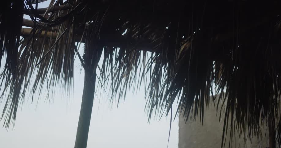 Building shows through fronds forming roof of bamboo pavilion