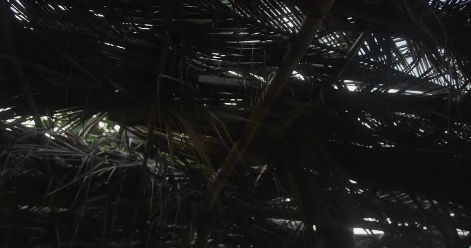Light from the sky above can be seen peeking through piles of stacked palm leaves that are used to form a roof overhead