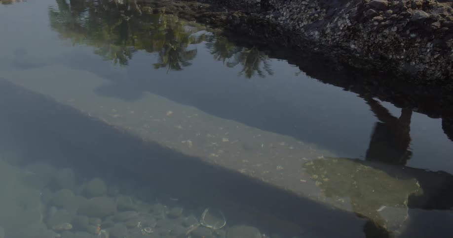 The shadow of a person walking along a riverbank
