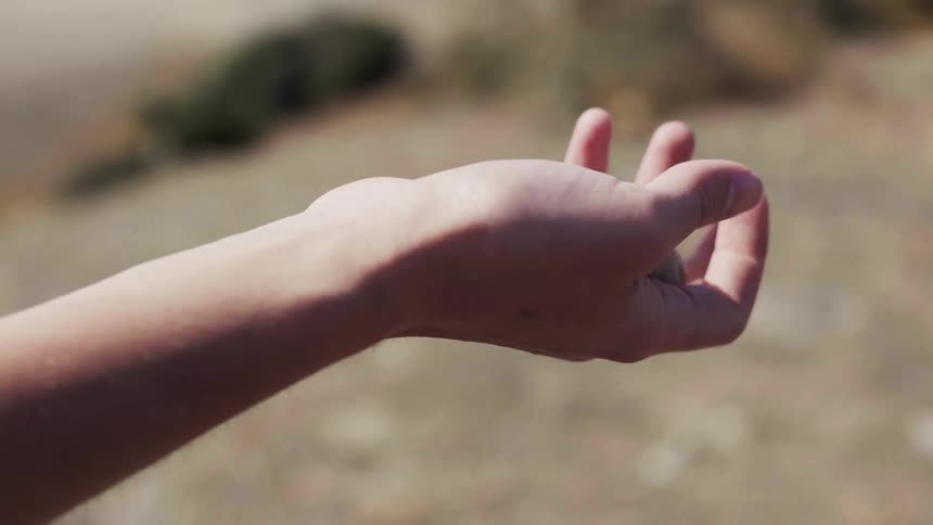 A person is tossing a rock in their hand on a sunny day