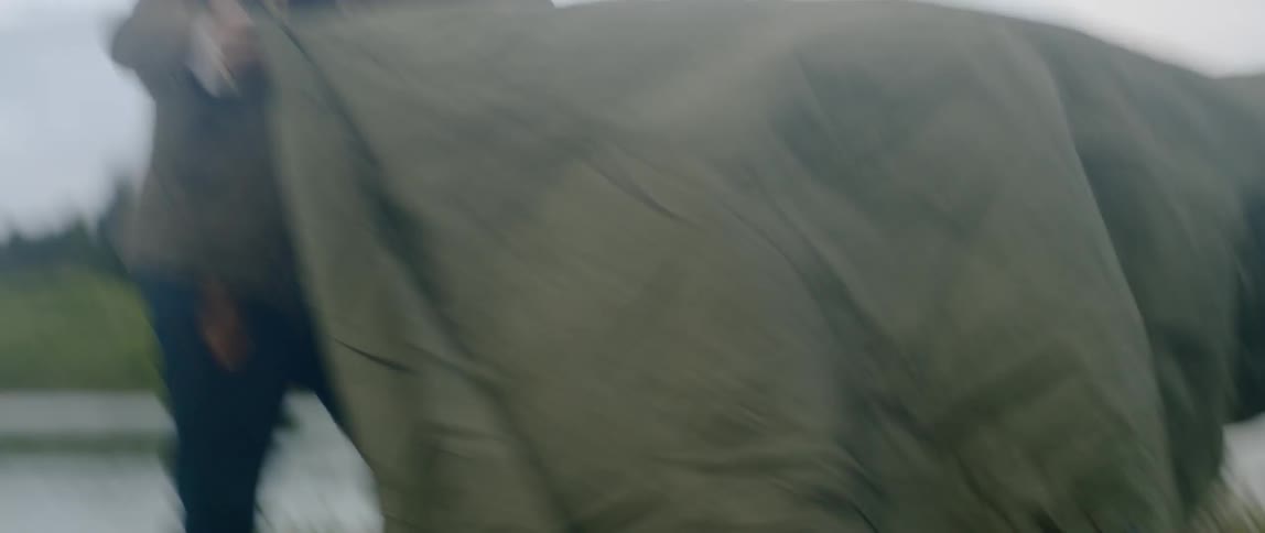 Man trying to erect a tent for a camp on the grassland
