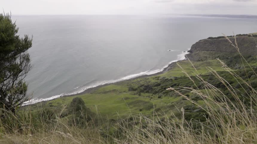 Ocean waves move towards a grassy and green coast