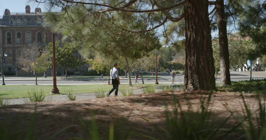 A man walks on a campus sidewalk past trees and across the street from campus buildings