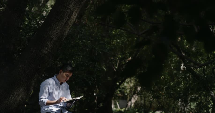 A man sitting under a tree turns the pages of a book he is reading