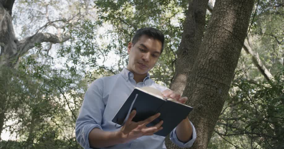 Male wearing a blue shirt reading a book under a large tree