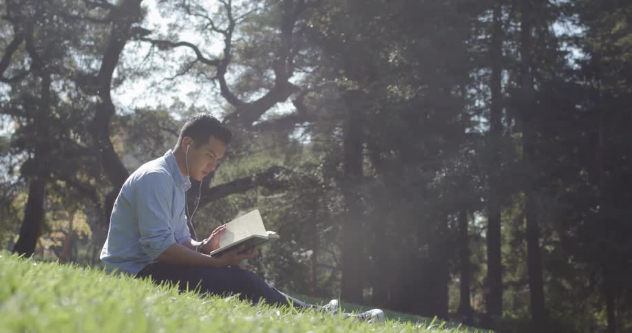 Man sits on grass slope reading a book on sunny day