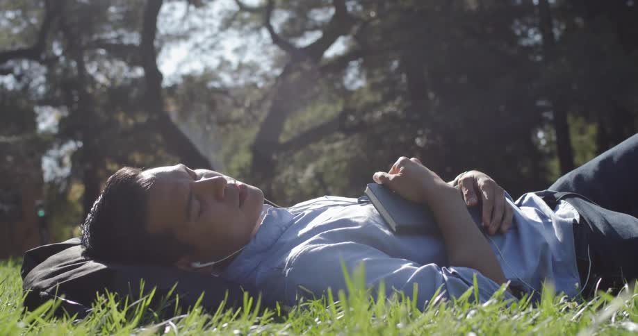 A man relaxes on a grassy field