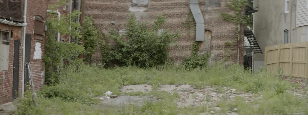 Weeds cover an empty lot next to a brick building in a city