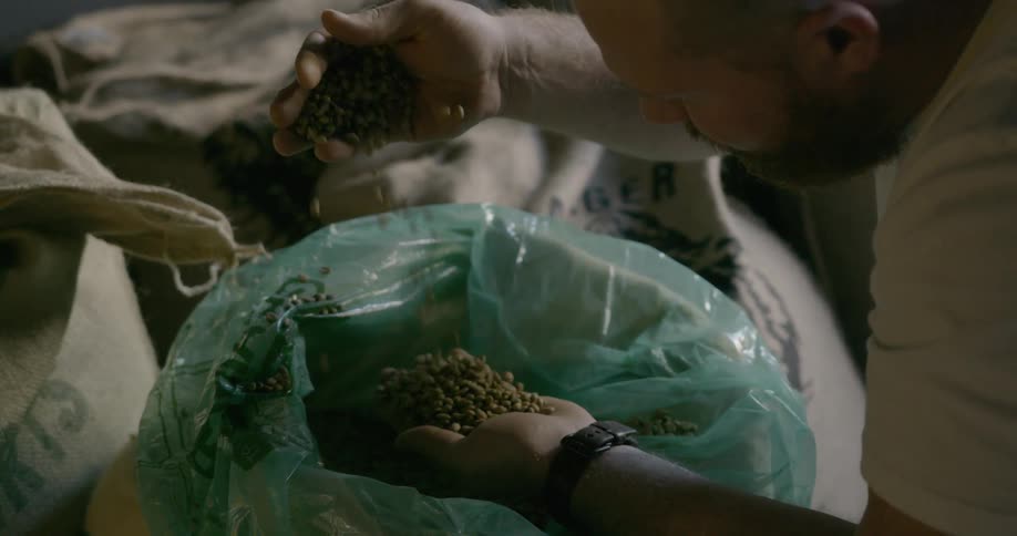 A man uses his hand to scoop and smell coffee beans