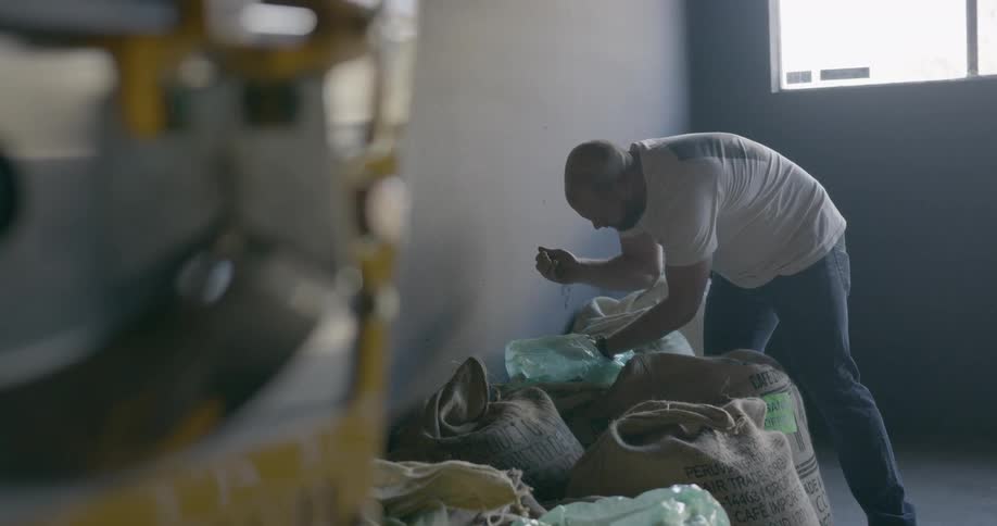 A man examining coffee beans in plastic bags that are themselves inside of canvas bags