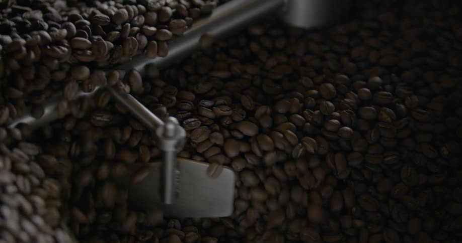 Coffee beans are being moved by a machine