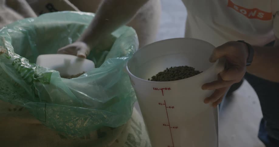 Man scooping beans into a bucket