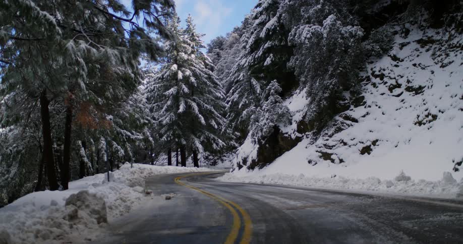 Snow covers the branches of a tree lined forest road