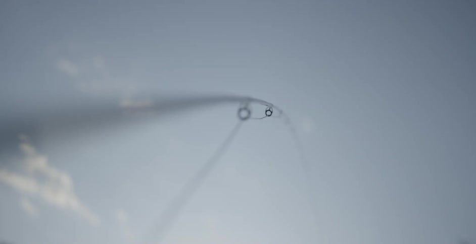 A fishing pole and line are popping up and down