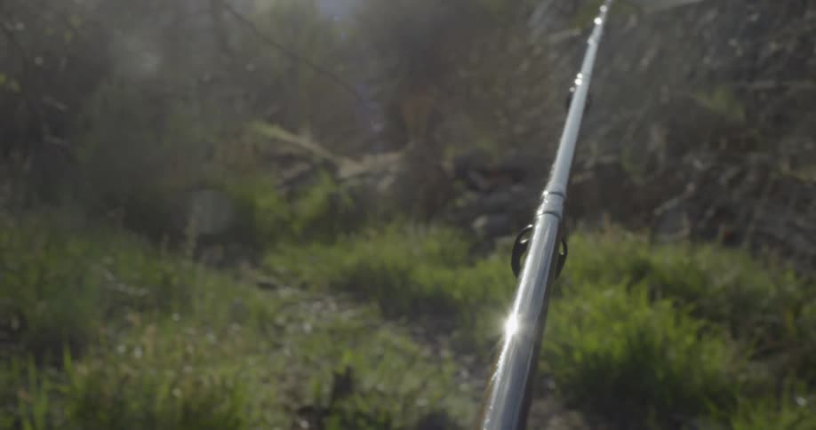 A pole reaching across a field