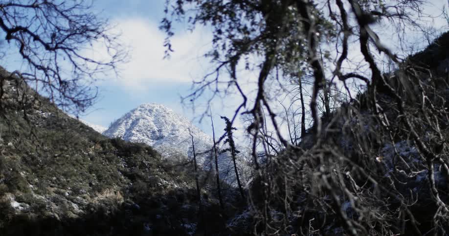 A mountain is shown in the distance