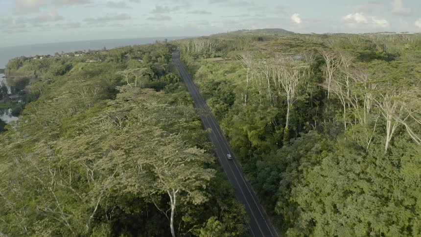 A car travels on a two lane road through the trees along the coast
