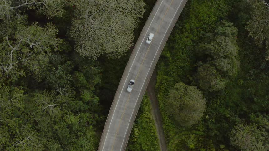 Cars travel together on the overpass