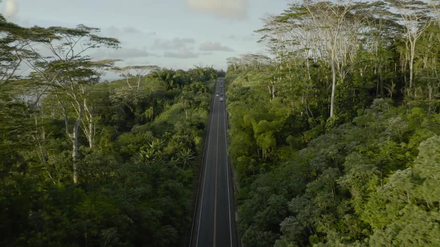 Landscape view of vehicles traveling on a highway