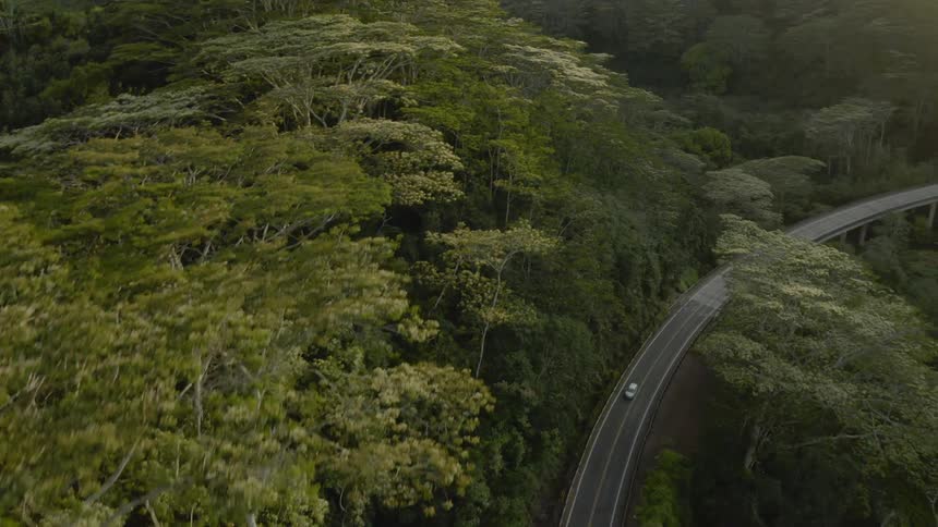 Birds eye view of cars driving on a highway