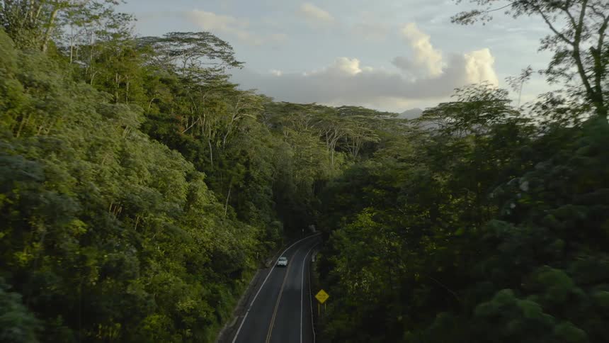 Vehicle travels down a highway that is surrounded by trees