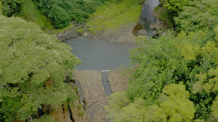 Birds eye view of trees and a river