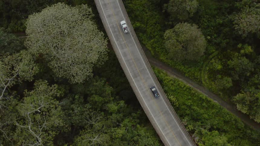 Birds eye view of two cars driving on a street with greenery on both sides