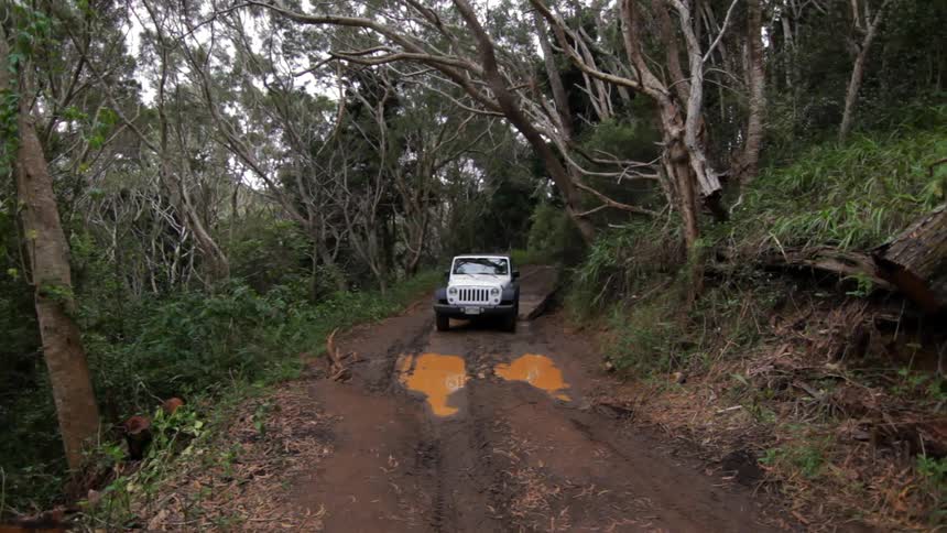 A jeep driving towards a puddle