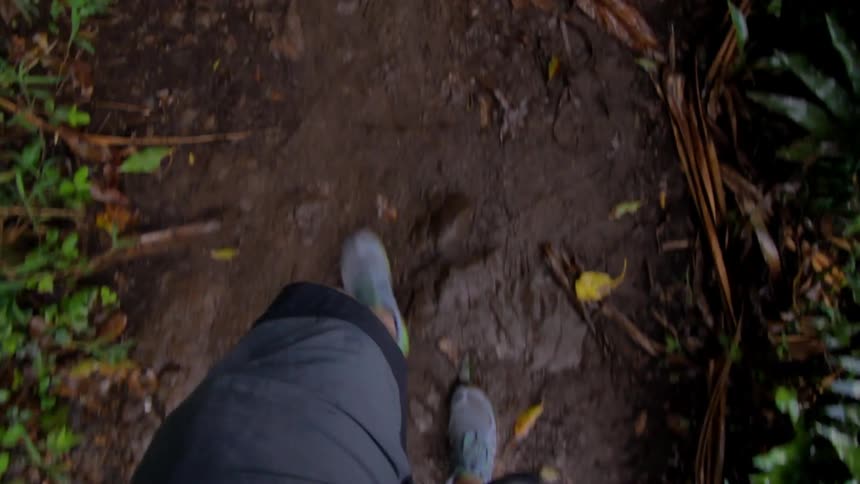 A person is walking a trail