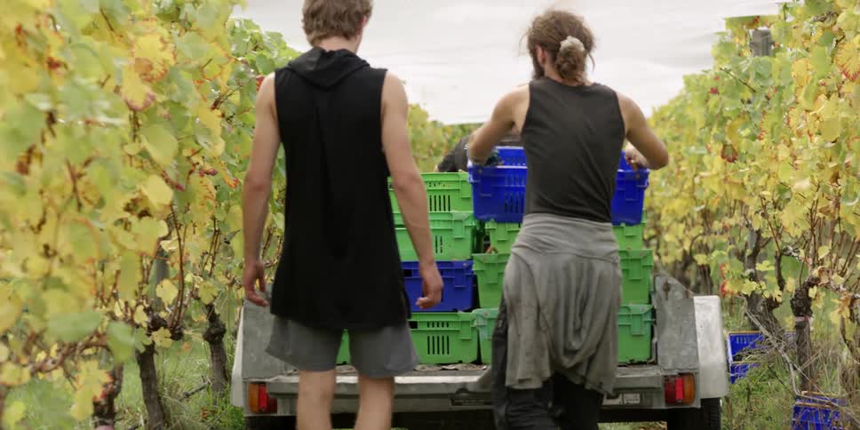 A man puts a basket onto a wagon on a sunny day