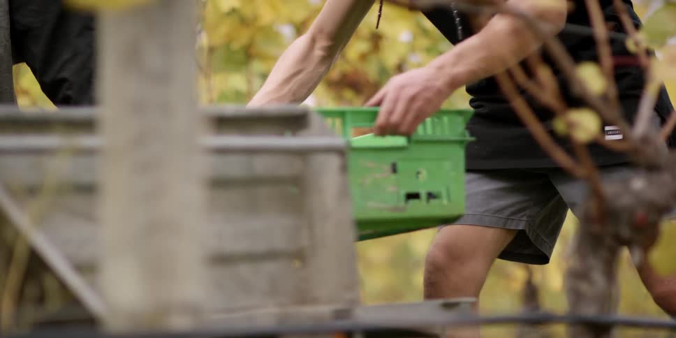 A man picks up a green crate and puts it on a truck