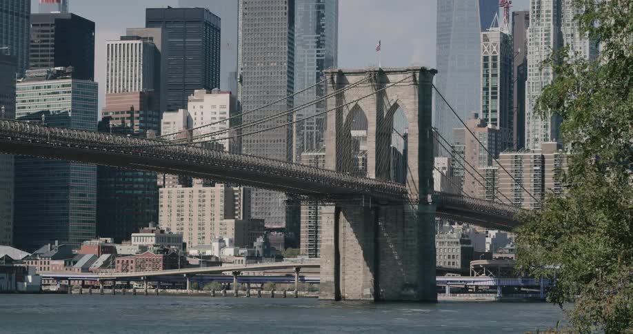 The new york city skyline and manhattan bridge during daylight