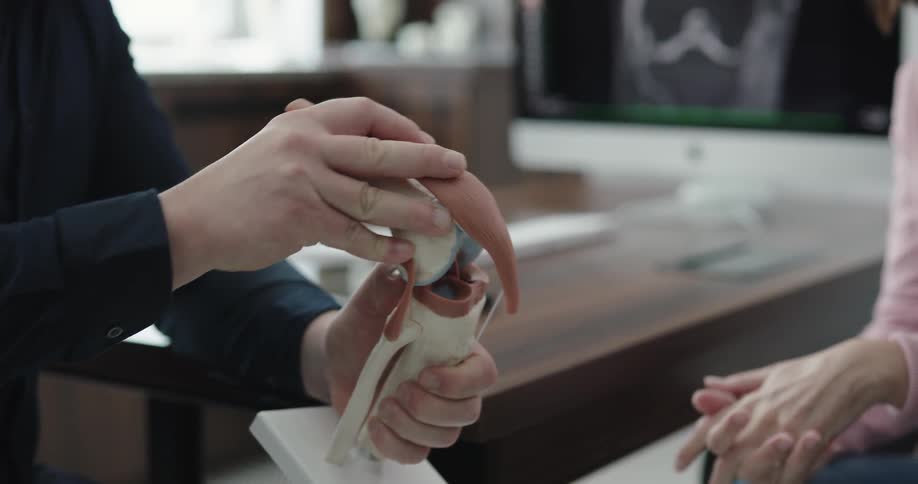 A person is using a medical bone model to demonstrate the bending action to another person