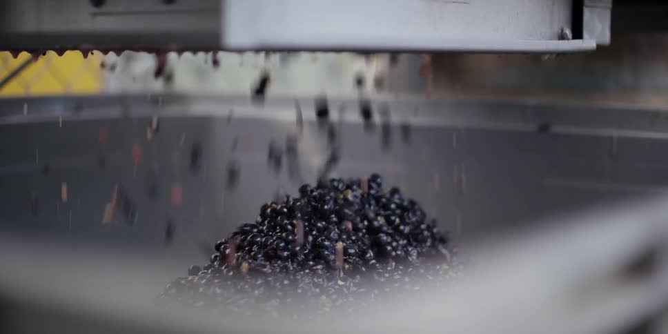 Food is being processed in industrial equipment